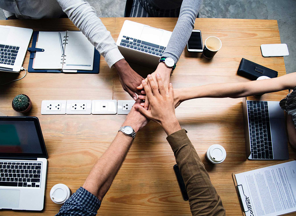 নিংবো লির কিচেনওয়্যার কোং, লি.